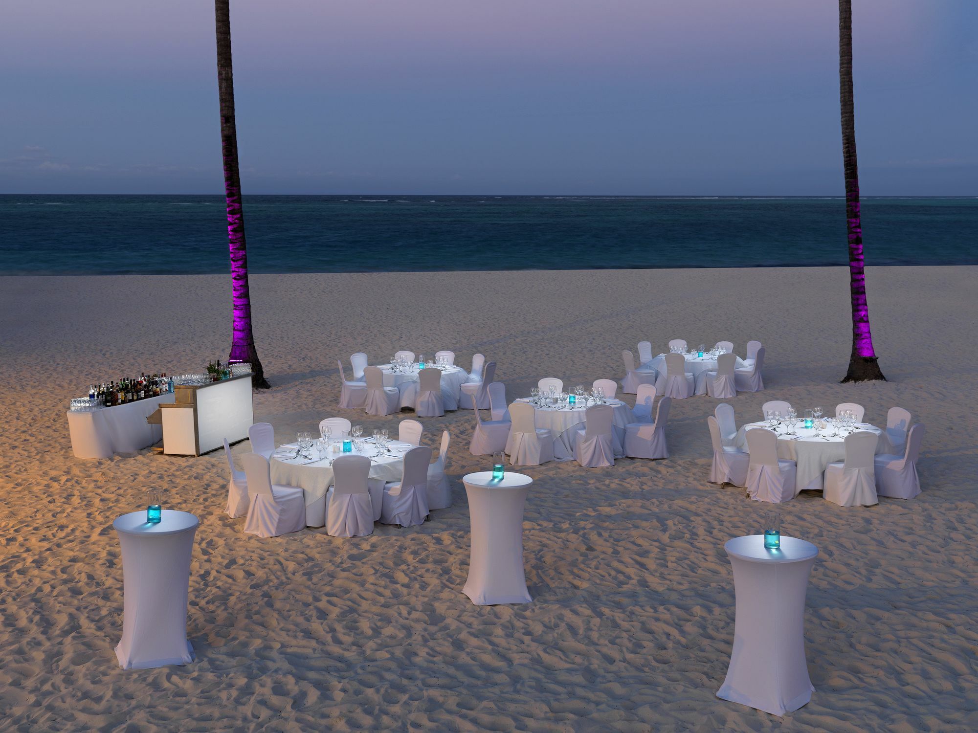 Royal Service At Paradisus Palma Real (Adults Only) Punta Cana Buitenkant foto