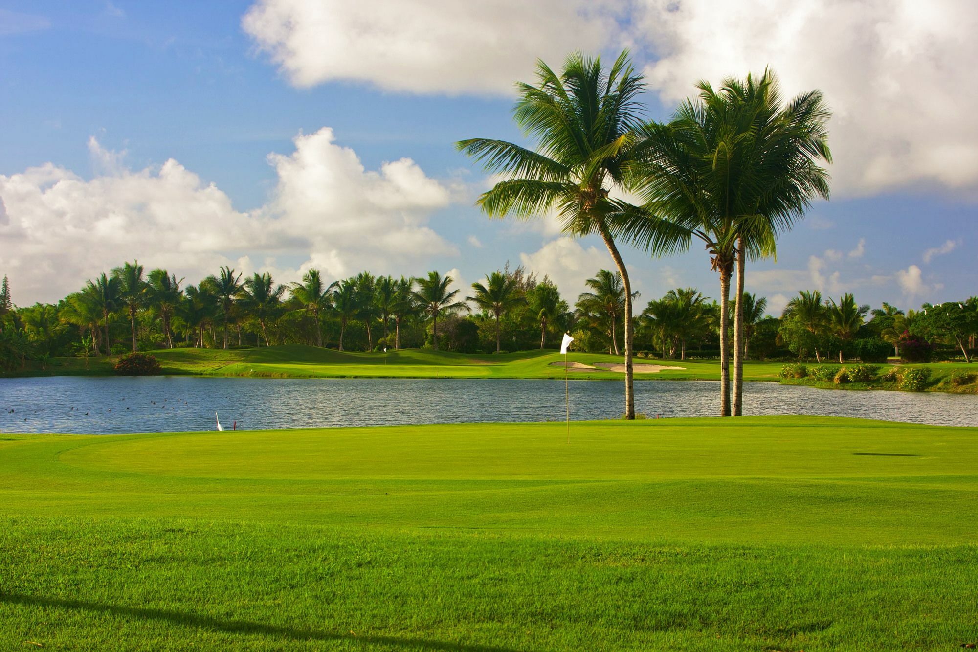 Royal Service At Paradisus Palma Real (Adults Only) Punta Cana Buitenkant foto