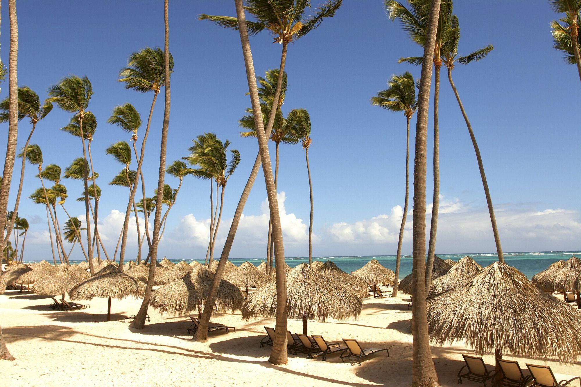 Royal Service At Paradisus Palma Real (Adults Only) Punta Cana Buitenkant foto